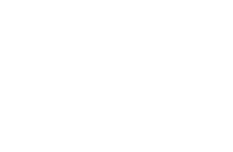 house to home handyman service logo upscaled white